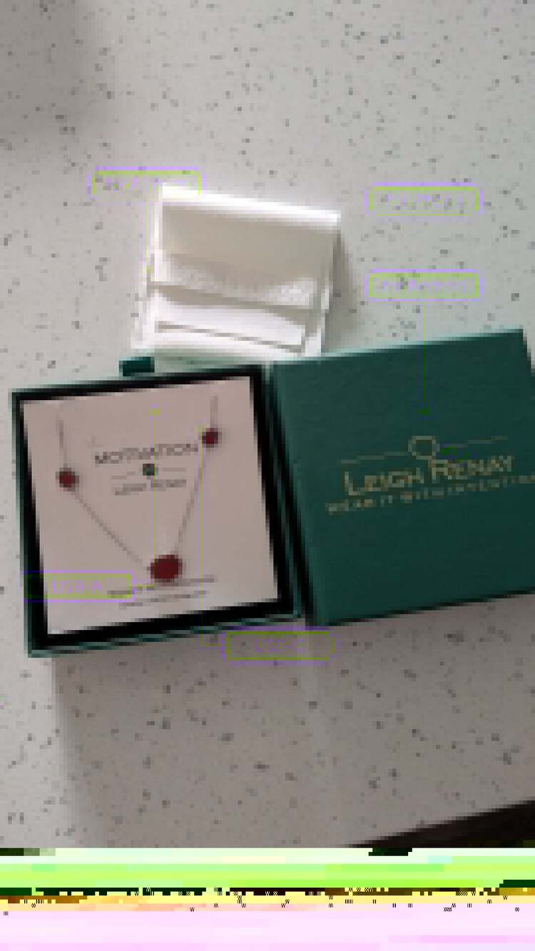 Leigh Renay Motivation Carnelian and 925 Sterling Silver Necklace